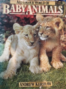 Baby Animals by Andrew Kershaw